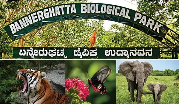 Featured Image Of Bannerghatta Biological Park